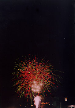 $B@P@n$N2V2PBg2q(B