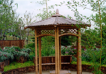 14 �|��(��������)