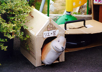 11 ���G�̉Ƃ�CD���W�J�Z�̉�