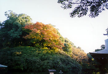 ���Ǒ�Ђ̍g�t