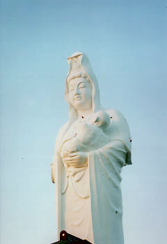 ���ɓ���邻���ł�