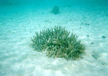 ����ق��