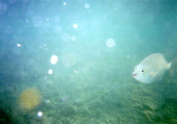 �������`(�炪�|��)