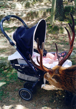 �Ԃ�����s���`?