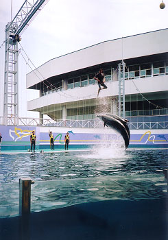 �ق��`��!!