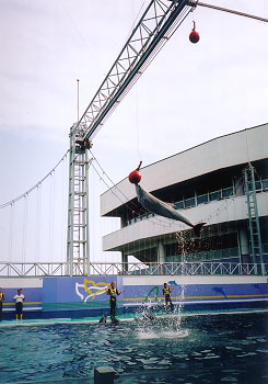 �W���`���v����